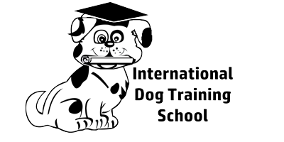 https://www.internationaldogtrainingschool.com